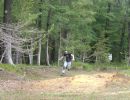 trent s bachelor party 6 22 24  
