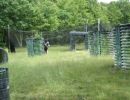 tyler s bachelor party  6 13 26  
