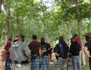 tyler s bachelor party  6 13 26  