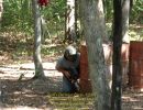 zack s bachelor party  8 8 26  
