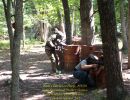 zack s bachelor party  8 8 26  
