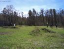 zausch bachelor party  4 25 26  